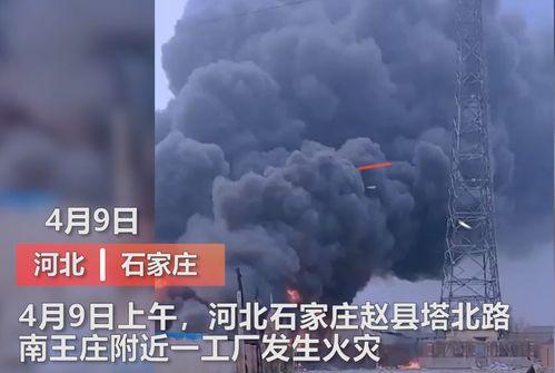 河北学校爆料事件视频曝光,真相揭开，引发社会关注